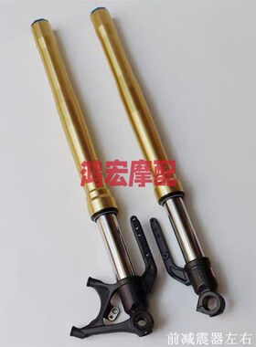 无极525RR前减震器隆鑫LX500GS-B减震前叉VOGE525跑车前减振