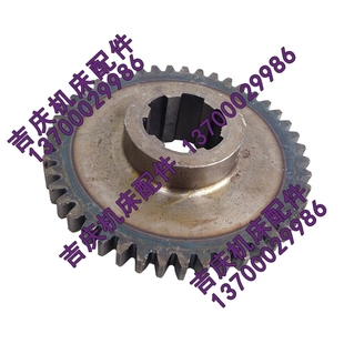 Z35 主轴箱齿轮 齿数 外径117 501194齿轮 沈阳中捷摇臂钻床