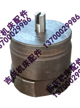 大连机床CDS6166B摆线泵 大连车床泵 摆线油泵 润滑泵