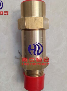 SFA-22C300T14冷冻外螺纹安全阀黄铜氟利昂泄压阀DN15 1/2