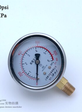 860psi径向立式气压表0-6MPa水压表2分接头ZG1/4PT(无充油)Y60