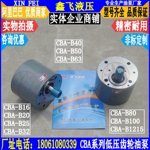 B63 液压泵 B20 B125齿轮油泵 B100 B80 B50 B40 B32 B16 CBA