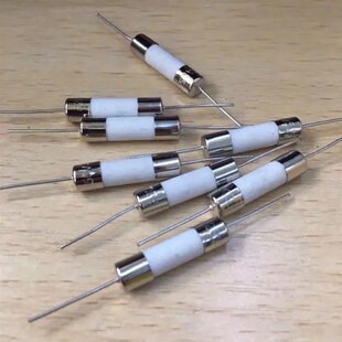 电磁炉专用保险丝5X20mm保险管陶瓷带引线保险管250V 10A 20A 15A