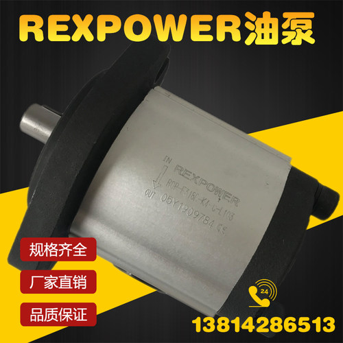 REXPOWER锐力液压油泵RGP-F306R/F310R/316 RGP-F318R-K4-C-L103