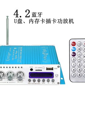 V10蓝牙插卡单曲循环收音功放家用车载功放12V220V迷你小型功放机