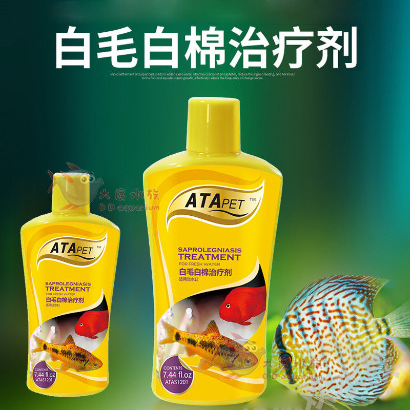ATA观赏鱼白毛白棉处理剂鱼体表棉絮状水霉病粘液增多鳃霉霉菌灵