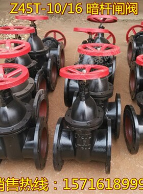 Z45T-10/16铸铁法兰暗杆闸阀铜芯铜杆契式闸阀DN65 80 100 150200