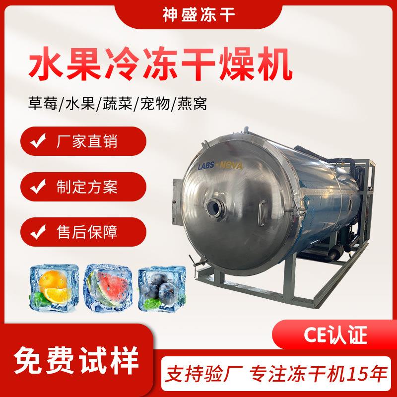 50平圆形食品水果冻干机银耳燕窝低温冻干设备饼干零食真空干燥机