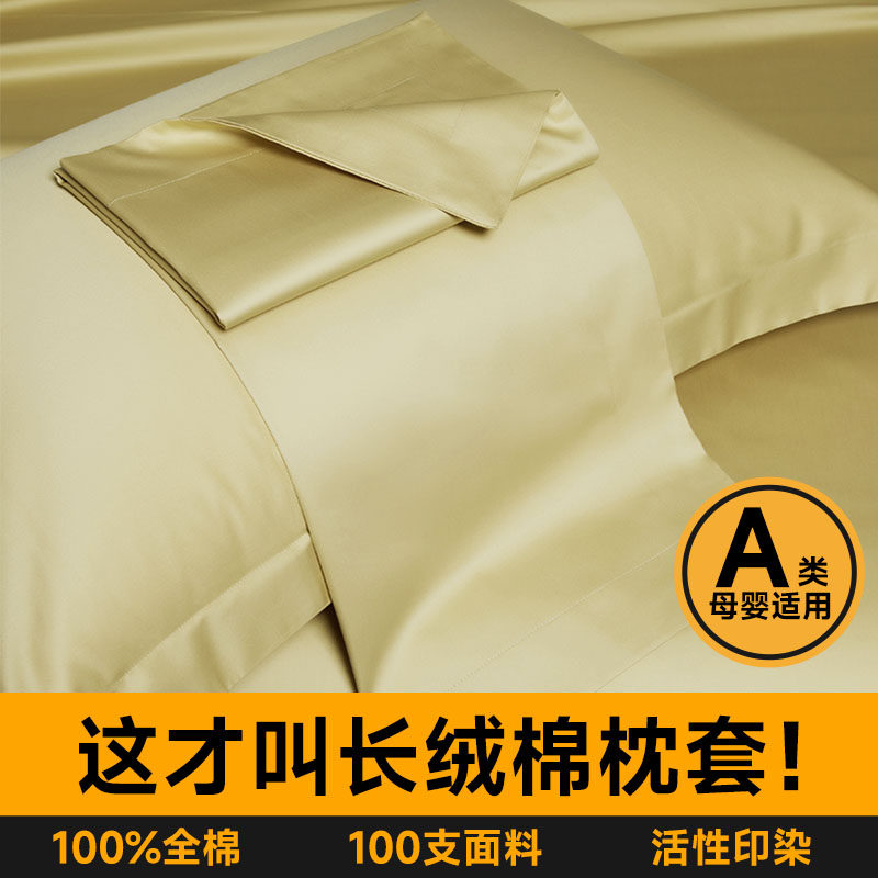 A类100支纯棉枕套一对装家用纯色枕头套装全棉高级感2023新款