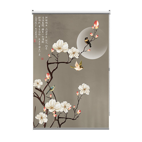 新中式挂帘软屏风隔o断帘玄关帘客厅升降手拉透明帘柔纱帘卷帘花