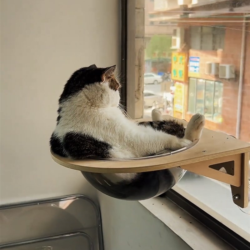 简易猫咪吊床窗户玻璃悬挂吸盘打孔猫架圆形太空舱阳台爬架猫