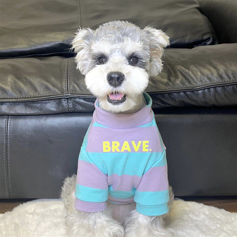 宠物猫狗衣服夏季纯棉透气蓝紫色英文T恤室内防掉毛 中小大型犬