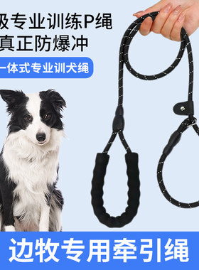 边牧犬专用牵引绳狗狗绳子防爆冲P链遛狗防挣脱大小型犬拴狗绳