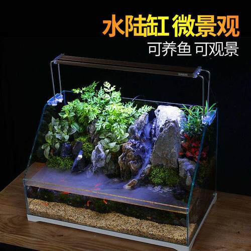 微景观水陆缸生态缸斜口超白缸植物造景骨架雾化雨林缸鱼缸养鱼