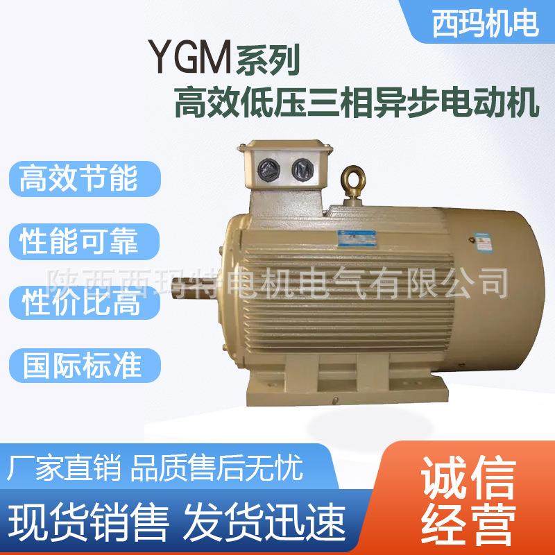 西安电机YGM2-160M1-8极4WB3侧右低压交流三相异步电动机,电子元器件市场,电机/马达,淘宝优惠券,粉丝福利购,淘宝优惠卷