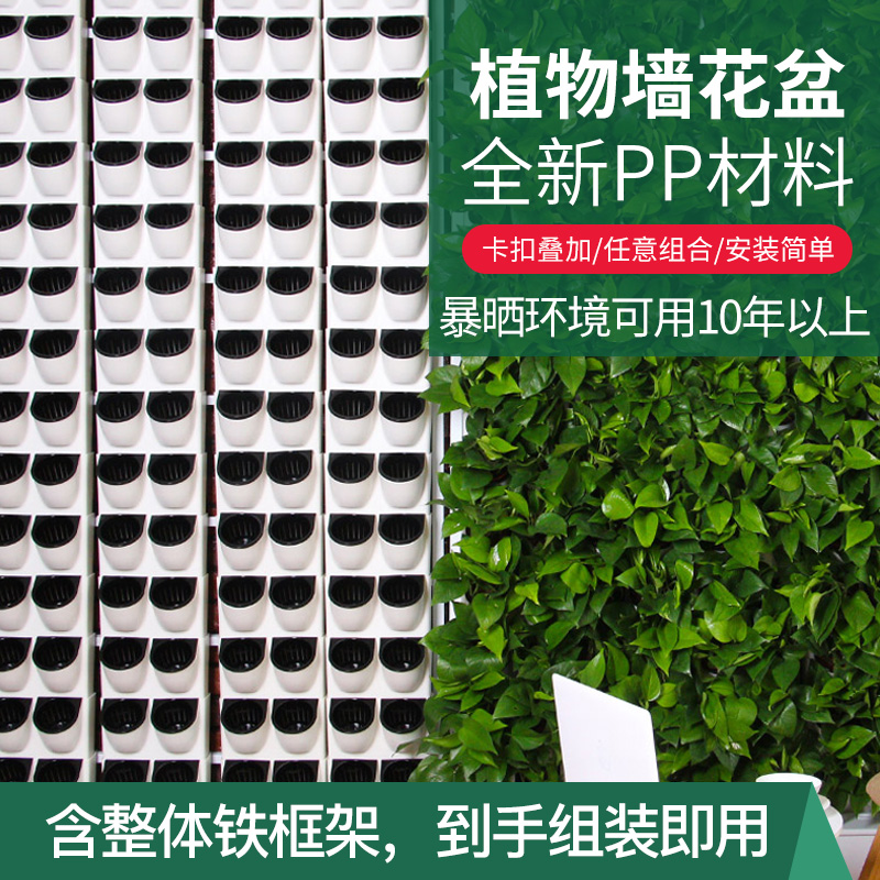 真植物墙种植盒立体绿化壁挂花盆蜂巢户外M绿植墙真植物工程绿化
