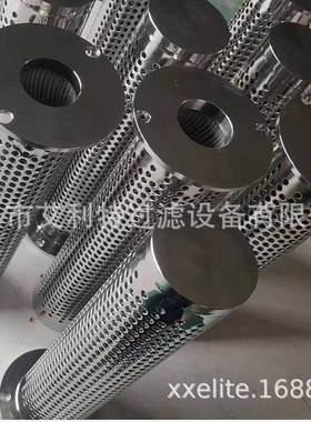 LSG-200艾G利特实验室滤芯低压过、滤器LS20-0GLQ-01-01