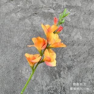 仿绢真园单支剑兰花束布婚庆客厅摆放摄影道具礼花篮43545343林艺