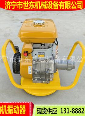 世东柴油震动器水泥捣楼工面振器建筑地ZWM插入式混凝土振机捣棒