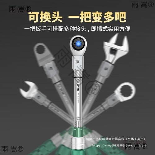 WITE调口扭力扳手WDM可式预置精度可换头高力矩扭矩公斤插开口