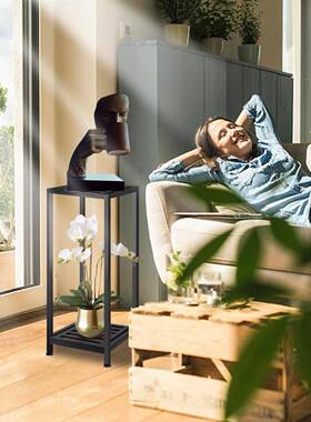 花架子客厅落地式金属置多肉物架室高端阳内绿萝摆放架yccc012台