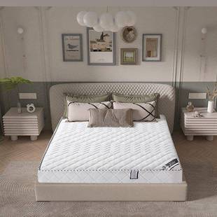 弹簧床垫20c厚1.8GEZ双米济经型人偏硬1m.5m床软硬两用椰棕垫