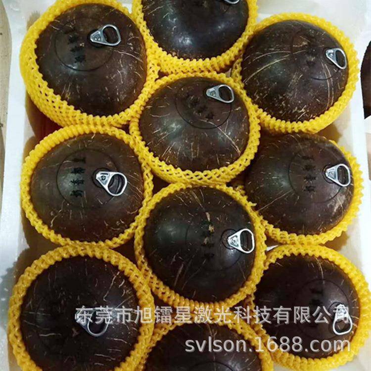 泰国易拉环椰皇制作设备拉开即喝椰汁吃椰肉硬壳老椰黑椰开壳机