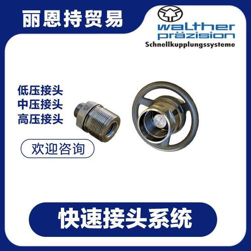 联轴器德国瓦r尔waltheLP-019-2-特S256-JLL131-1