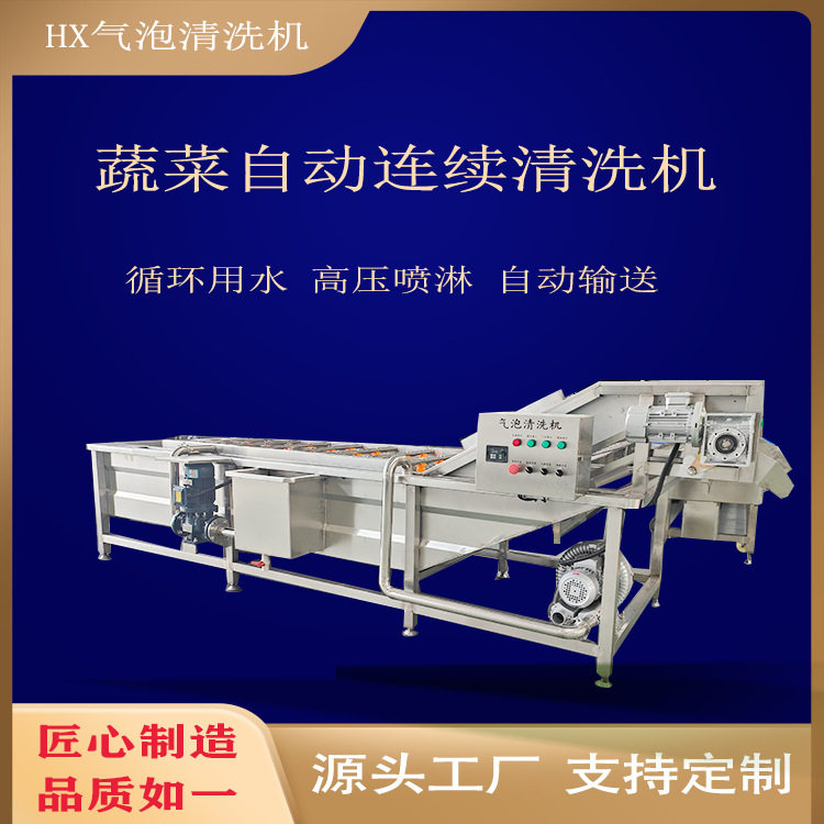 椰枣果蔬气泡清洗机高效去污