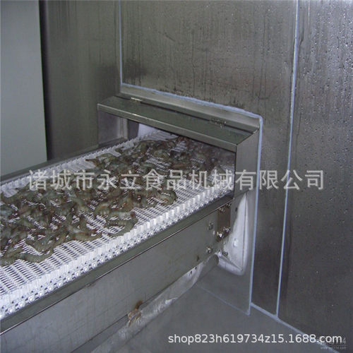 隧道式低温速冻流水线 果蔬保鲜速冻设备 饺子海参低温冷冻机械