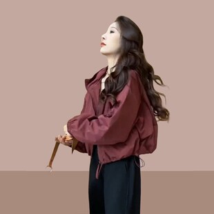 今年流行小个子休闲冲锋衣外套女春秋2024新款高级感夹克短款上衣