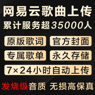 网易云音乐定制服务 歌曲传网盘 有歌词封面 hires音质 独立歌单