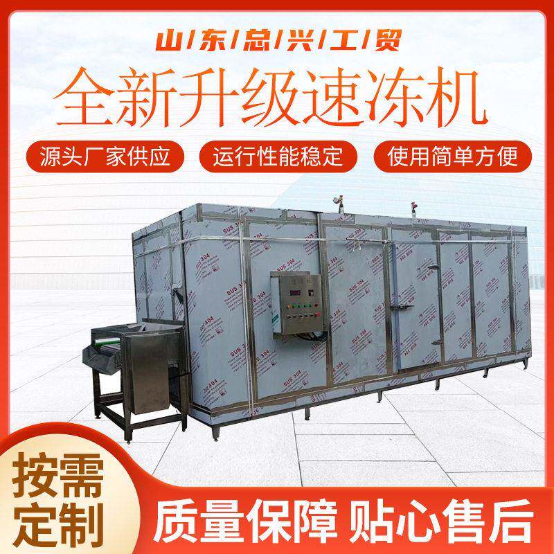 带鱼鲅鱼隧道式速冻机小龙虾虾仁全自动速冻机网带式氟利昂设备