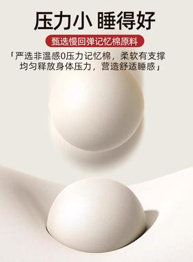 记忆棉学床垫家子用软垫室榻榻米薄款生宿舍单F9796TJS人租房卧海