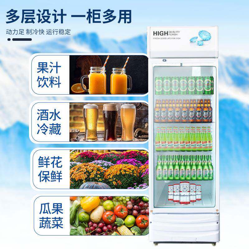 冰霜冷展示单门饮藏柜商用柜双开门冰柜冰箱超市啤酒无品牌/保鲜