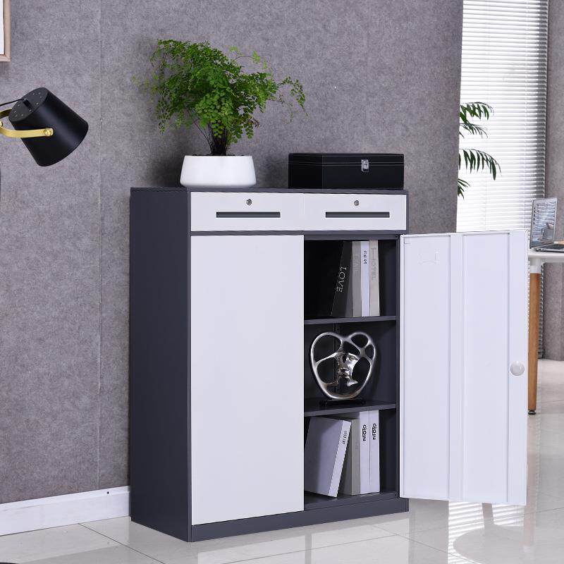 钢ZB-01制套色文柜办公室财务铁皮柜纳带件抽资屉玻璃门带锁料档