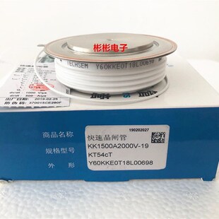 TECHSEM Y60KKE KK1500A 1800V 2000V台基中频炉快速可控硅晶闸管