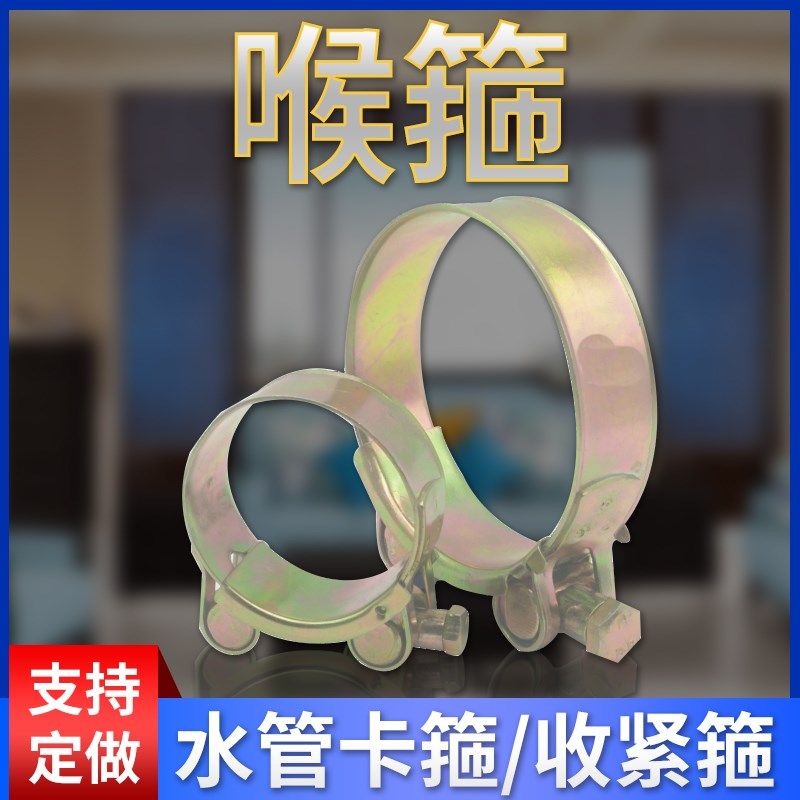 铁镀锌喉箍卡箍水管接头软管胶管抱箍固定管夹管箍快装管卡