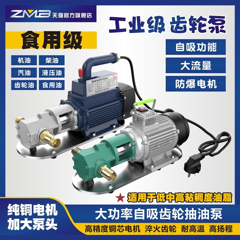 高粘度自吸式齿轮不锈钢电动抽油泵柴油机油食用油液压油220V380V,厨房电器,商用制热电器配件,淘宝优惠券,粉丝福利购,淘宝优惠卷