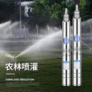 不锈用钢深泵220家用深水井抽水机高扬程水泵潜水泵V38井EWE0V包