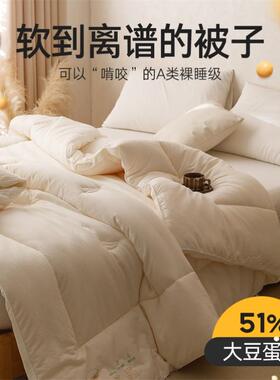 A类提花大纤维厚子四季豆春秋QAR双人加保暖二被合一子母冬被芯