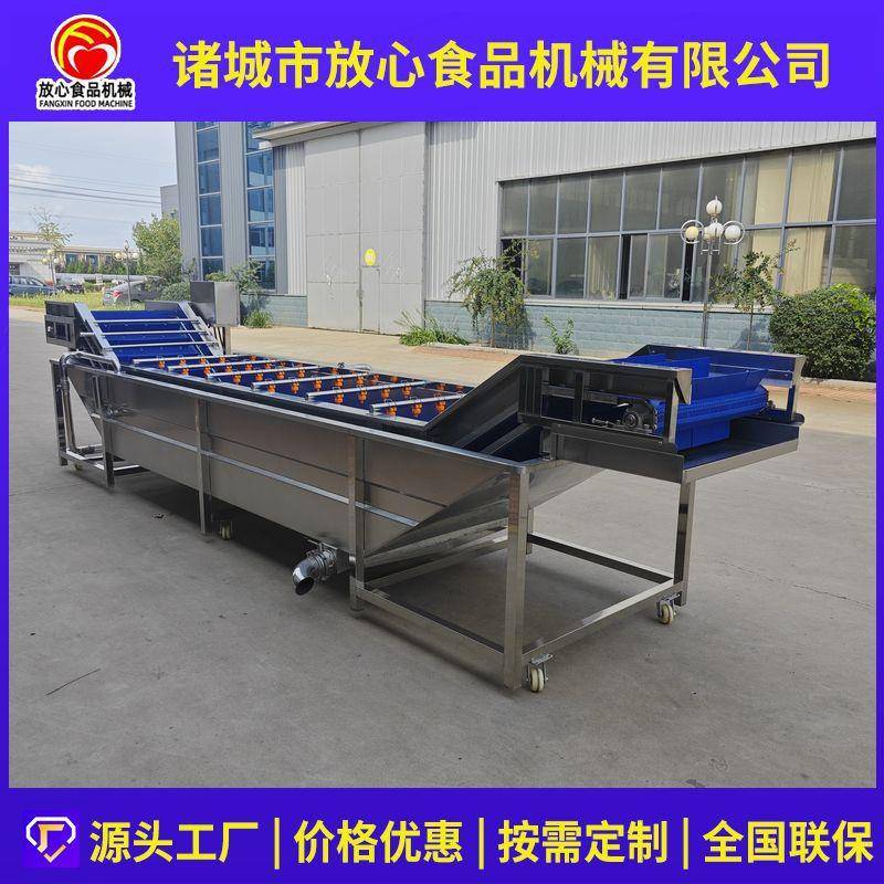 韭菜IGV清洗机全芹自动蔬菜清洗机小葱喷菜蒜薹韭气菜苔泡淋清洗