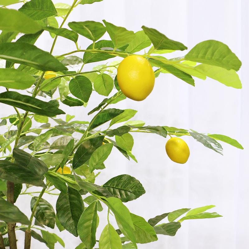 艺卉绿植摄影道具柠树盆栽真柠檬果装饰造景家居仿摆檬件RUU服装
