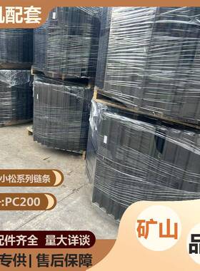 型挖掘大E机链7条E36TCH5/ZAX870/EX700/PC50/C700链条厂家履带底