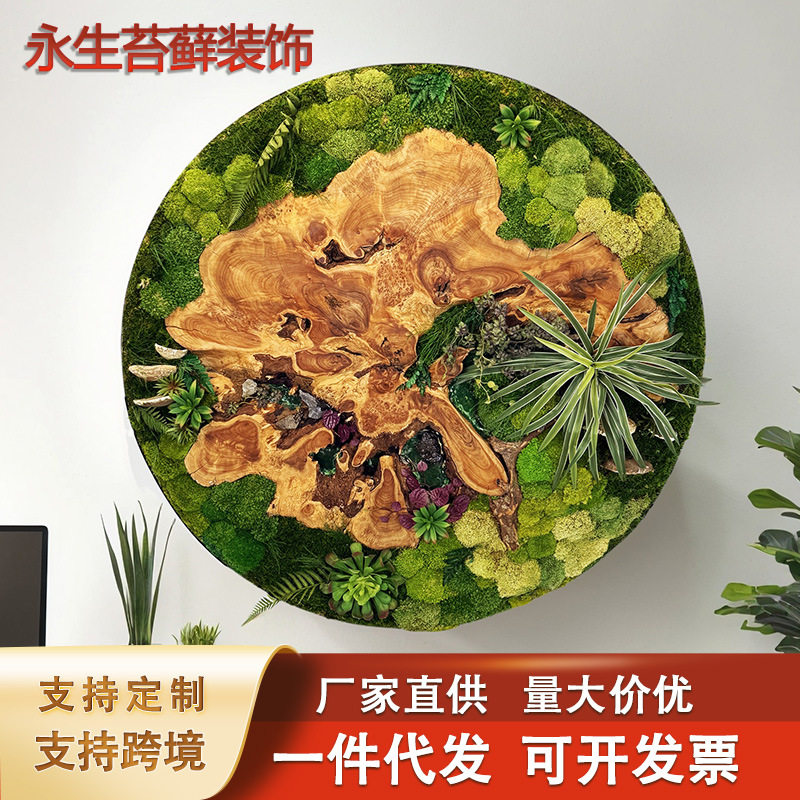 永生苔藓绿植画样板房售楼处客厅墙饰工艺挂画永生白发苔藓装饰画