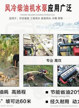 风冷小型柴油铁泵抽水机1F7.318f18825寸7进2寸出水NNY泵冲藕灌溉