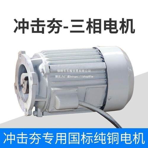 单相电机击夯机打夯机36791马达冲电电两相打夯机高速电机三夯相