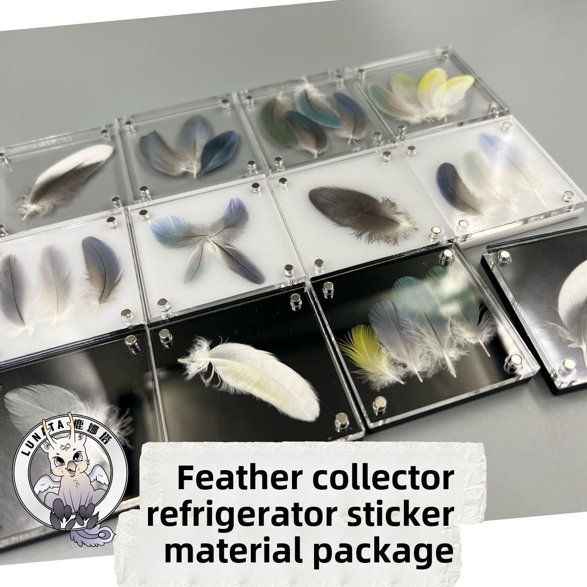 【羽毛收集家】亚克力冰箱贴材料包鹦鹉羽毛收集器纪念冰箱贴DIY