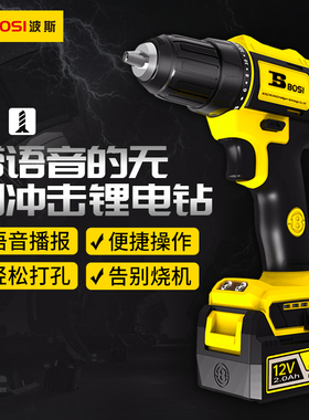 波斯工具无刷锂电钻12v/2.0Ah手持式手枪钻BS661111