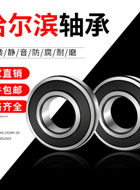 哈尔滨轴承6300 6301 6302 6303 6304 6305 6306 6307Z RS 2RZ